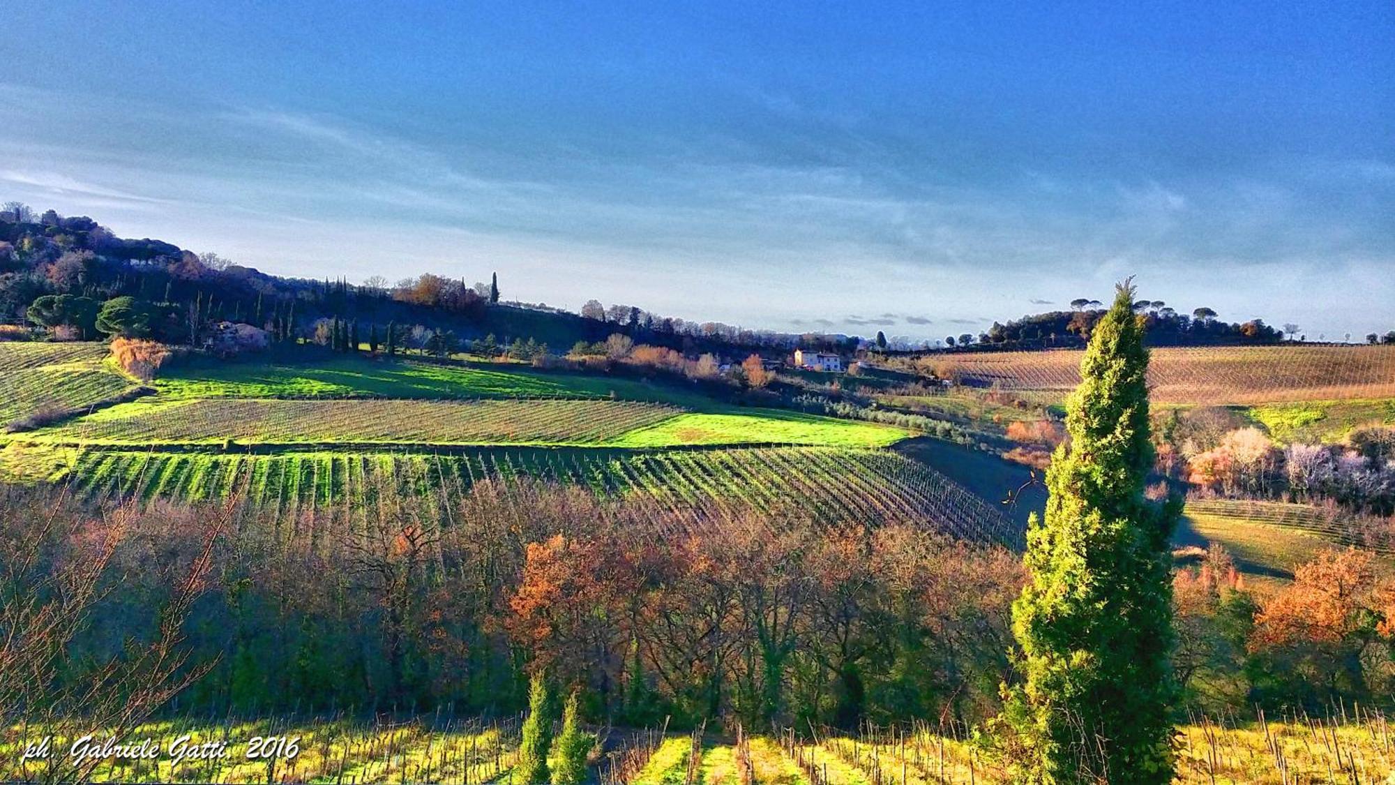Agriturismo Casa Alle Vacche San Gimignano Exteriér fotografie