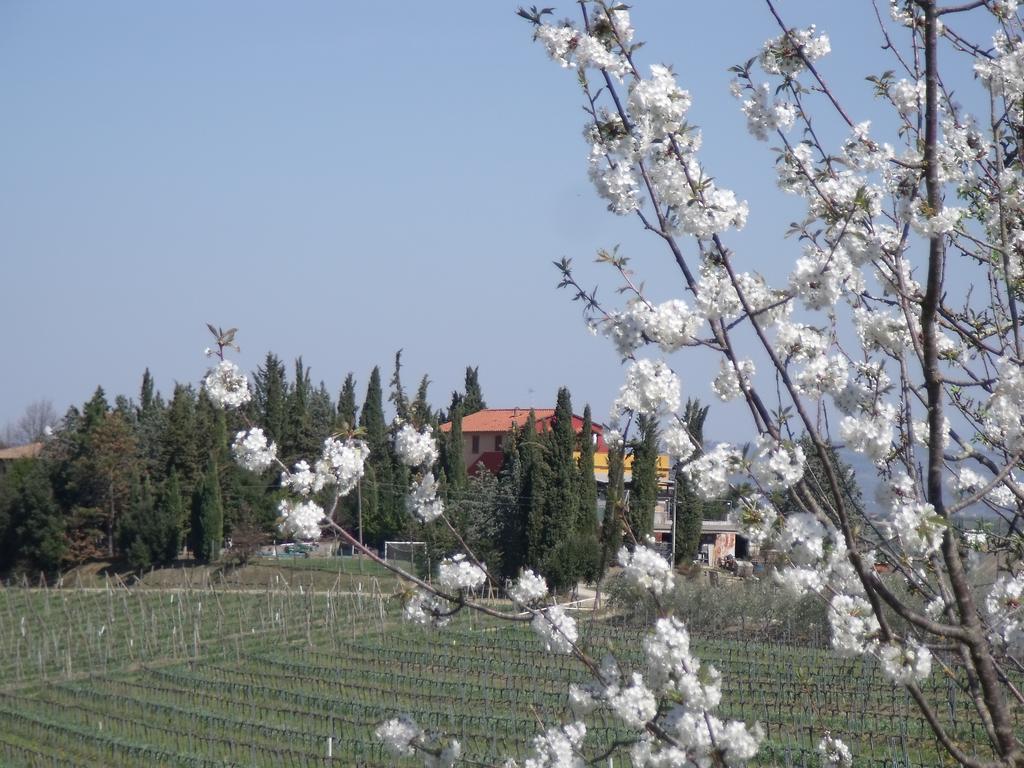 Agriturismo Casa Alle Vacche San Gimignano Exteriér fotografie